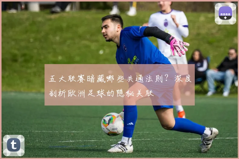 五大联赛暗藏哪些共通法则?深度剖析欧洲足球的隐秘关联