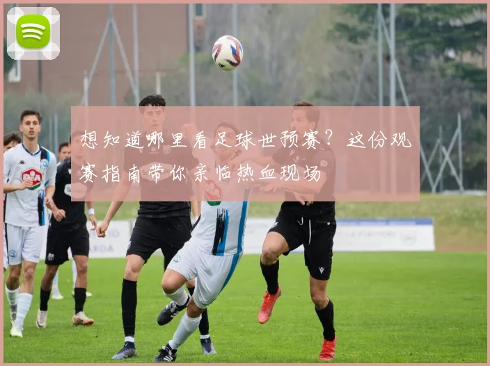 想知道哪里看足球世预赛？这份观赛指南带你亲临热血现场