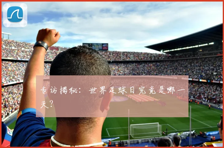 专访揭秘:世界足球日究竟是哪一天?