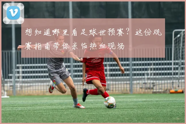 想知道哪里看足球世预赛?这份观赛指南带你亲临热血现场